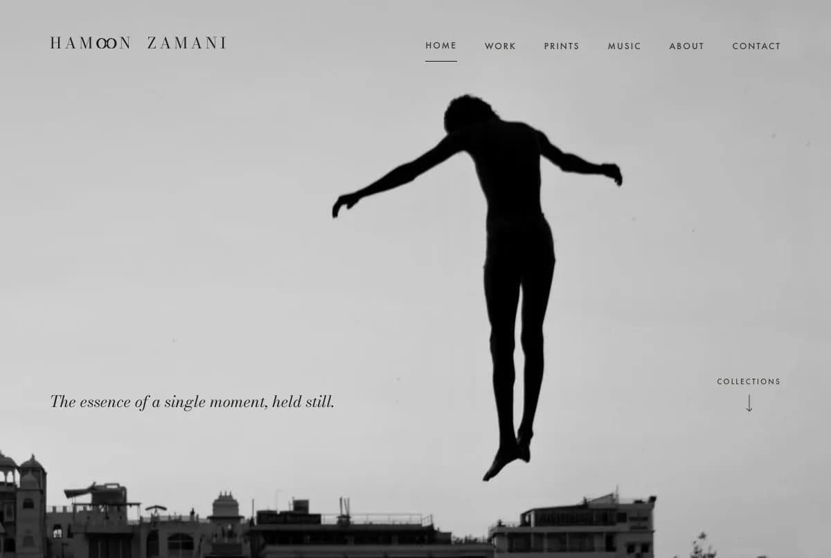 Hamoon Zamani website